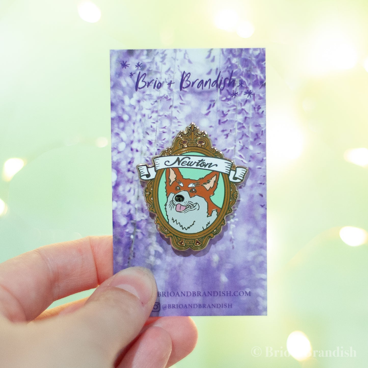 Newton Enamel Pin